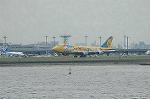 Dcim2952/DSC_9249