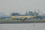 Dcim2952/DSC_9252
