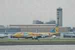 Dcim2952/DSC_9254