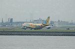 Dcim2952/DSC_9262