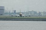 Dcim2952/DSC_9263