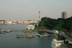 Dcim2961/DSC_0061