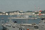 Dcim2962/DSC_5784