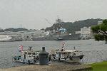 Dcim2973/DSC_5954