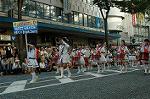 Dcim2976/DSC_1262