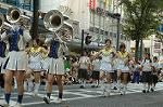 Dcim2977/DSC_1309