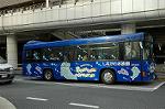 Dcim3003/DSC_2995