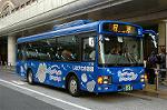 Dcim3003/DSC_3078