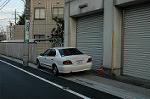 Dcim3003/DSC_3087