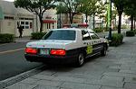 Dcim3007/DSC_3300