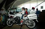 Dcim3011/DSC_3695