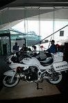 Dcim3011/DSC_3701