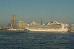 Dcim3013/DSC_6553