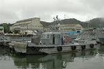 Dcim3022/DSC_4523
