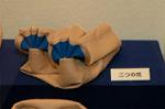 Dcim3032/DSC_5028
