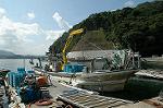 Dcim3033/DSC_5136
