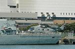 Dcim3072/DSC_8229