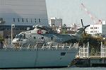 Dcim3074/DSC_8505