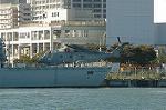 Dcim3076/DSC_8632