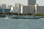Dcim3076/DSC_8634