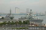 Dcim3087/DSC_9596
