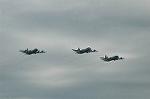 Dcim3126/DSC_1912