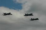 Dcim3126/DSC_1915