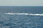 Dcim3128/DSC_2053