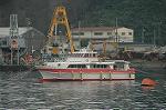 Dcim3171/DSC_3969