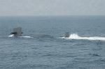 Dcim3181/DSC_4561