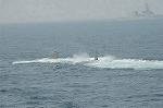 Dcim3181/DSC_4576