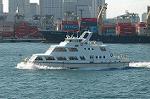 Dcim3196/DSC_5296