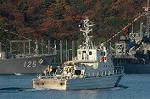 Dcim3220/DSC_6537