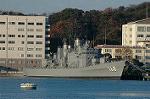 Dcim3220/DSC_6542