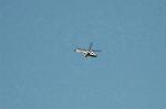 Dcim3220/DSC_6564
