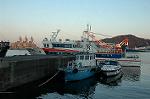 Dcim3220/DSC_6593