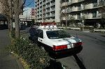Dcim3227/DSC_6741