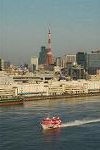 Dcim3228/DSC_0331