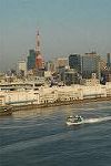 Dcim3228/DSC_0333