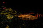 Dcim3229/DSC_5244