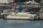 Dcim3243/DSC_7486