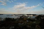 Dcim3247/DSC_0561