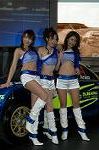 Dcim3252/DSC_8145
