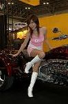 Dcim3253/DSC_8277