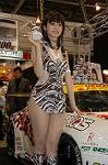 Dcim3255/DSC_8518