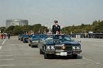 Dcim3262/DSC_8939