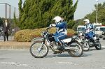 Dcim3262/DSC_8951