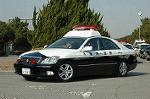 Dcim3262/DSC_8956