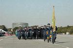 Dcim3262/DSC_8993