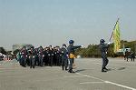 Dcim3262/DSC_8994